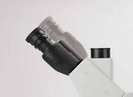invertirovannyy-biologicheskiy-mikroskop-mib-28.jpg invertirovannyy-biologicheskiy-mikroskop-mib-28.jpg